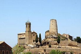 Sendero en un bosque  El contenido generado por IA puede ser incorrecto.